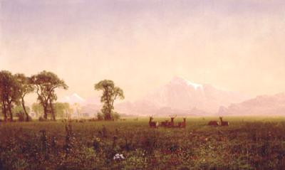 Albert Bierstadt Elk Grazing in the Wind River Country Germany oil painting art
